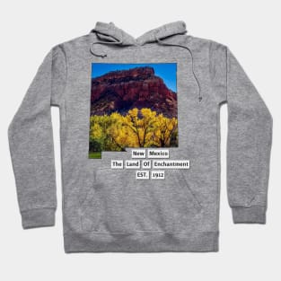 New Mexico USA Hoodie